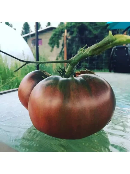 chernyy-baron-3-142784