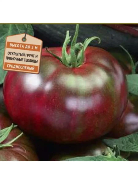 chernyy-baron-4-142784