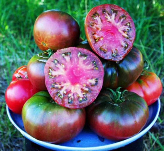 chernyy-baron-5-142784