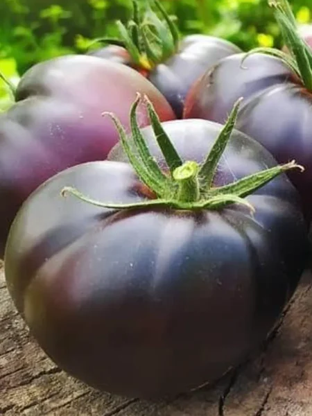 chernyy-baron-main-142784