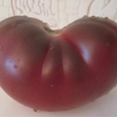 chernyy-medved-11-163869