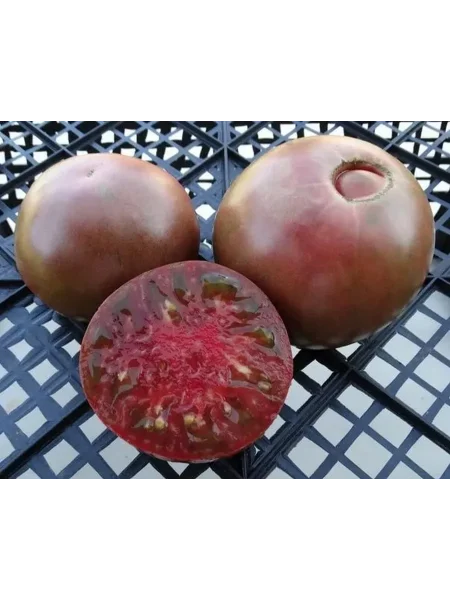 chernyy-medved-3-163869