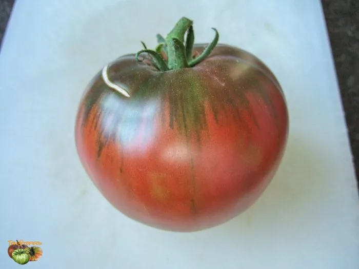 chernyy-medved-main-163869