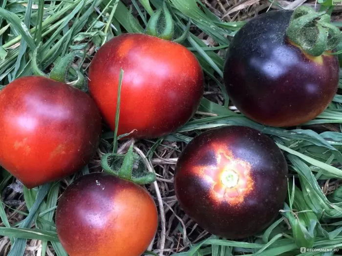 chernyy-opal-4-156544