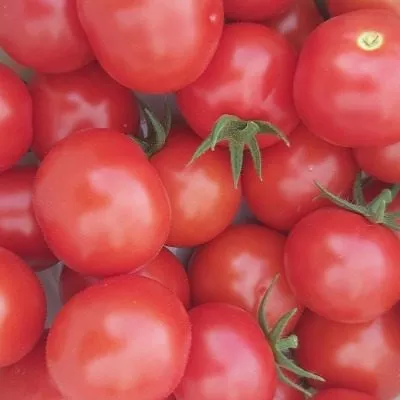 cherri-kanape-main-156568