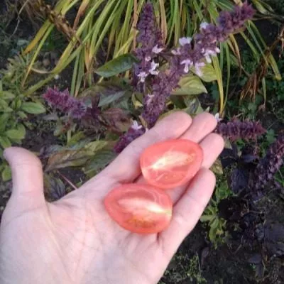 cherri-sasha-5-161952