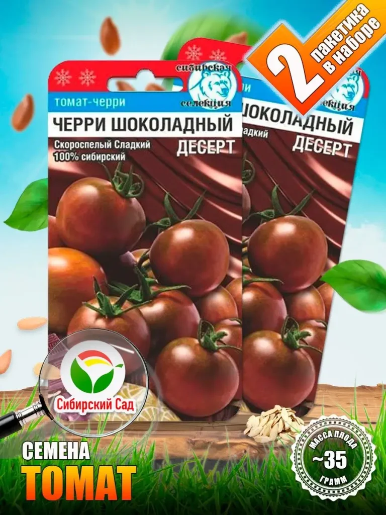 cherri-shokoladnyy-desert-1-132700