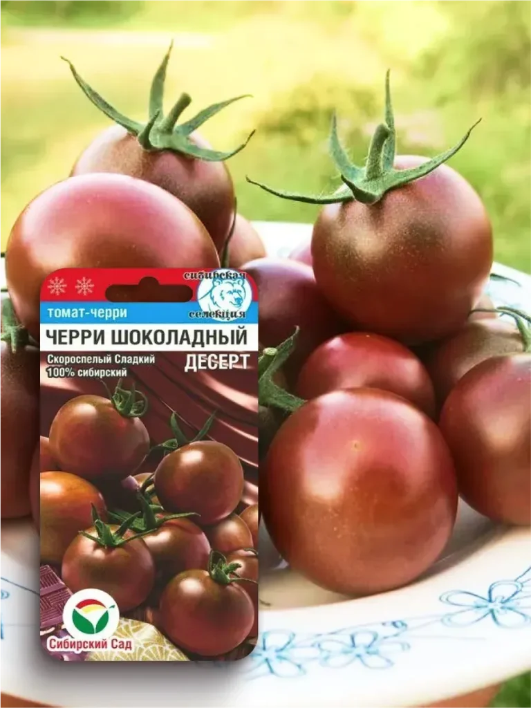 cherri-shokoladnyy-desert-2-132700