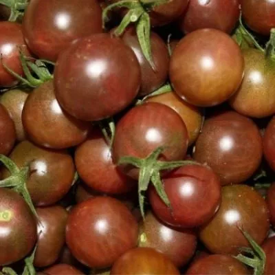 cherri-shokoladnyy-desert-4-132700