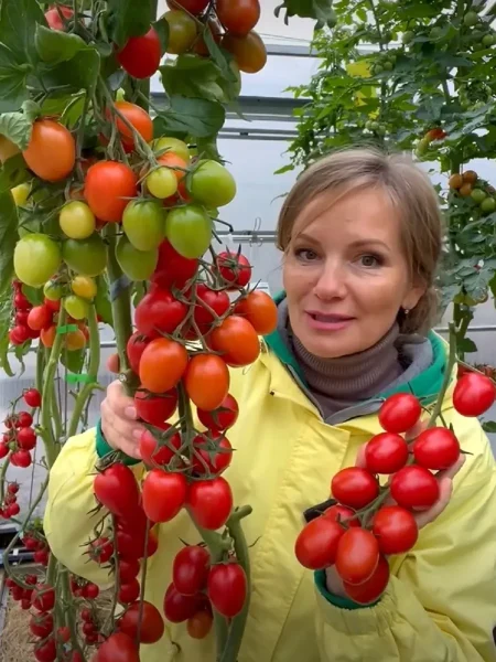 cherri-valya-3-137316