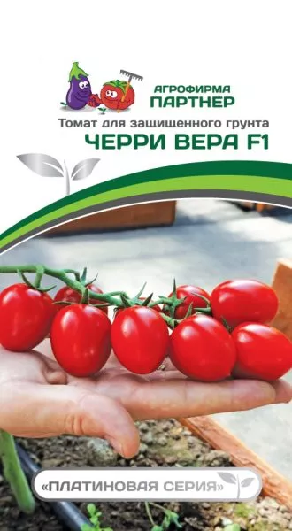 cherri-vera-7-143230