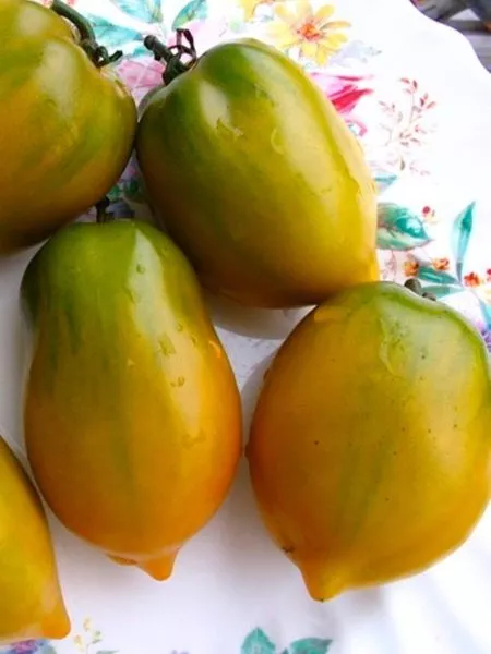 chili-verde-3-134971