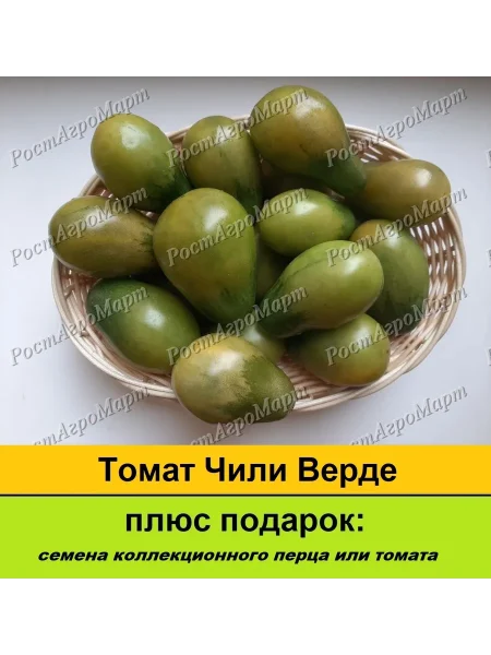 chili-verde-4-134971