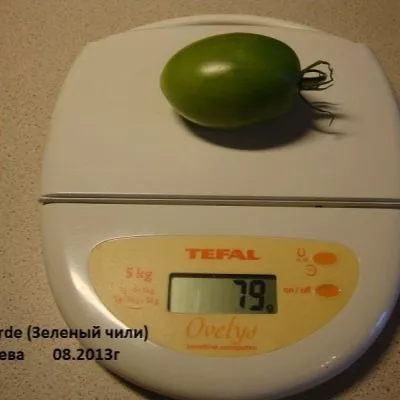 chili-verde-5-134971