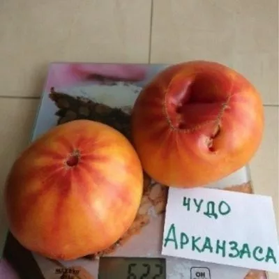 chudo-arkanzasa-10-165909