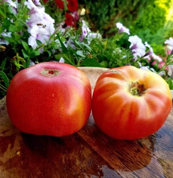 chudo-arkanzasa-4-165909