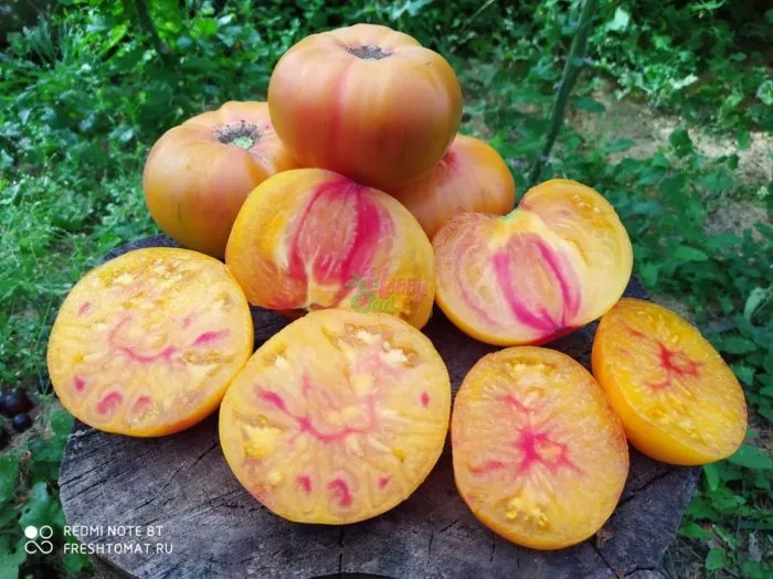 chudo-arkanzasa-7-165909