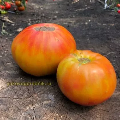 chudo-arkanzasa-9-165909