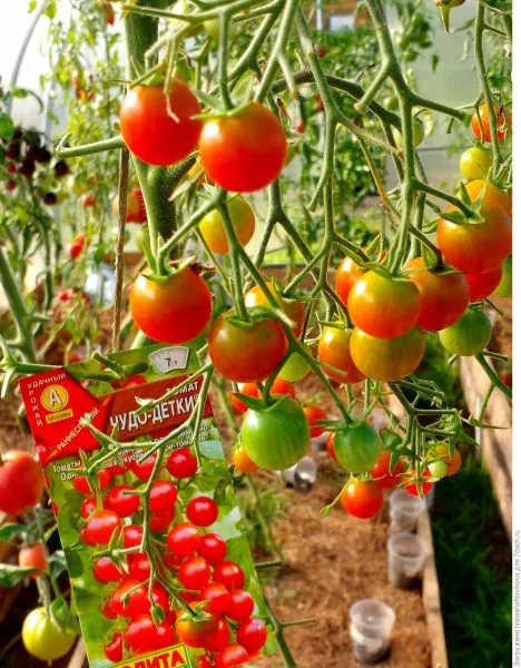 chudo-detki-1-153863