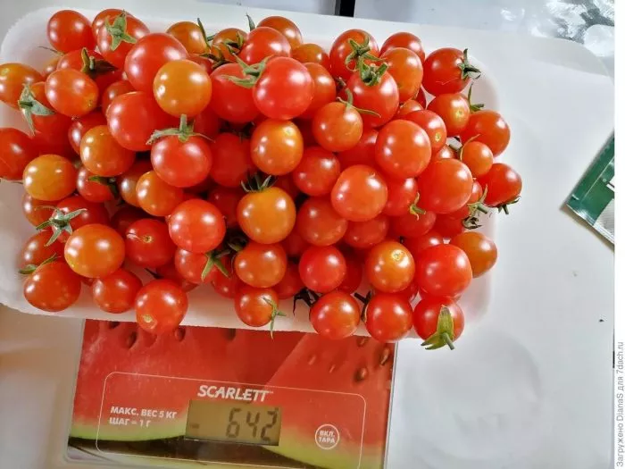 chudo-detki-3-153863