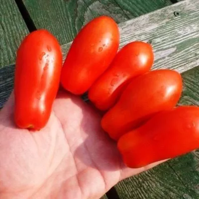 chudo-palchiki-6-154416