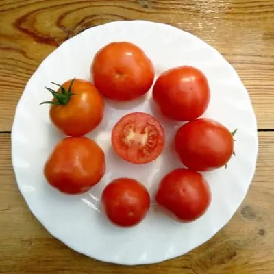 dashenka-main-167299