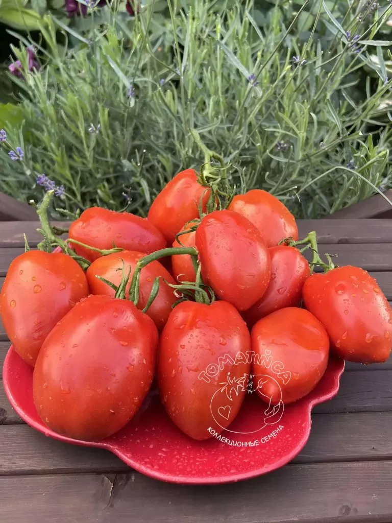 dedushkiny-mudi-1-133313