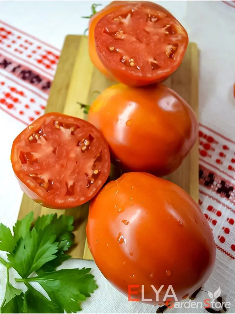 dedushkiny-mudi-2-133313