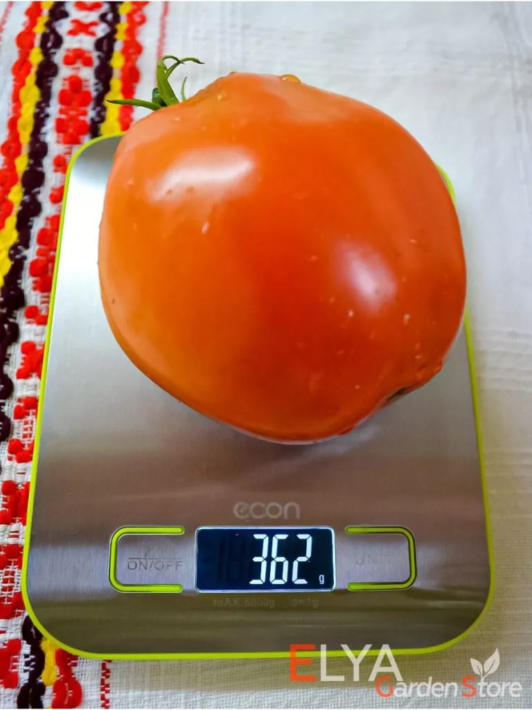 dedushkiny-mudi-4-133313