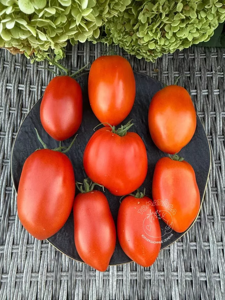 dedushkiny-mudi-5-133313