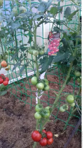 denezhnyy-meshok-1-167406