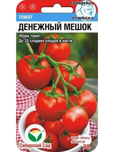 denezhnyy-meshok-2-167406