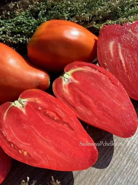 devichi-slezy-2-164039