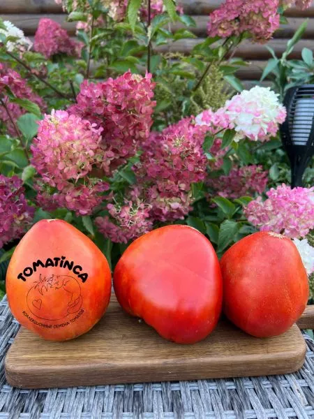 devichi-slezy-8-164039