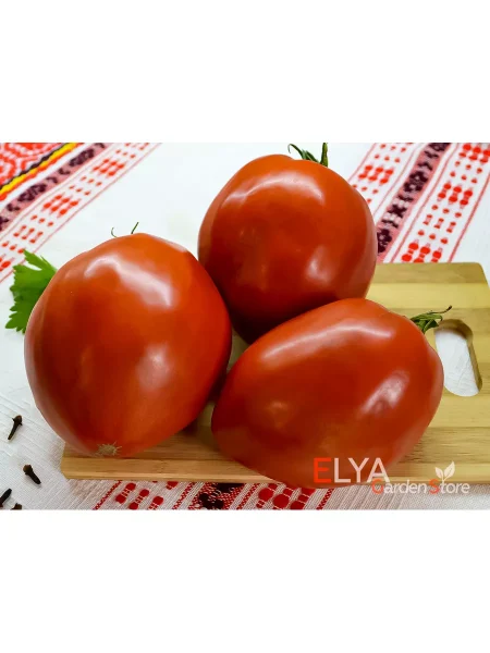 devichi-slezy-main-164039