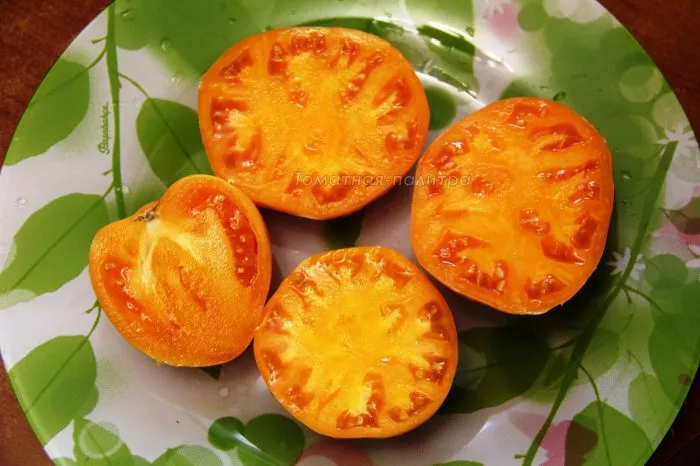 diksi-zolotoy-gigant-7-139628