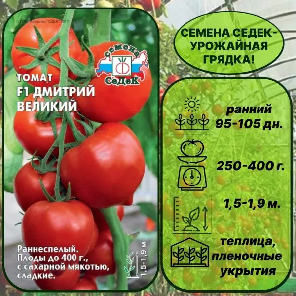 dmitriy-velikiy-3-142767