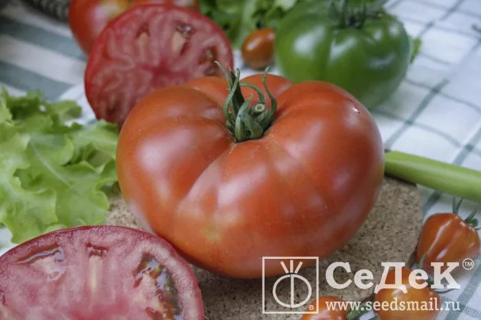 dmitriy-velikiy-4-142767