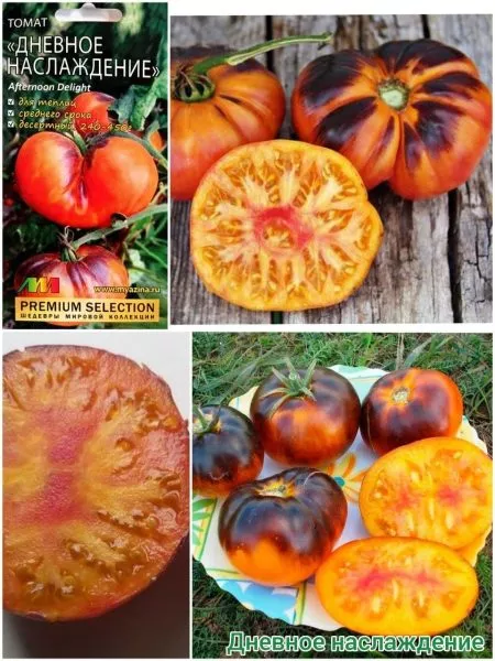 dnevnoe-naslazhdenie-2-164892