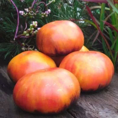 dnevnoe-naslazhdenie-6-164892