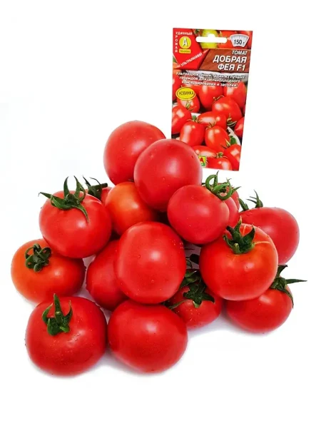 dobraya-feya-1-168364