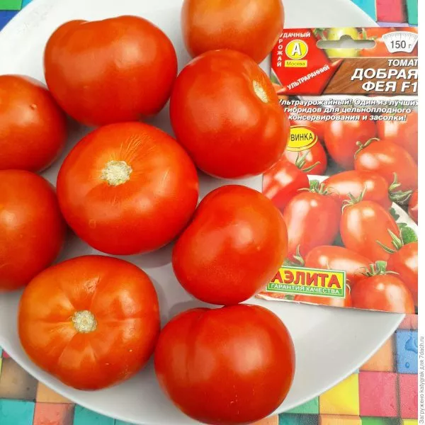 dobraya-feya-5-168364