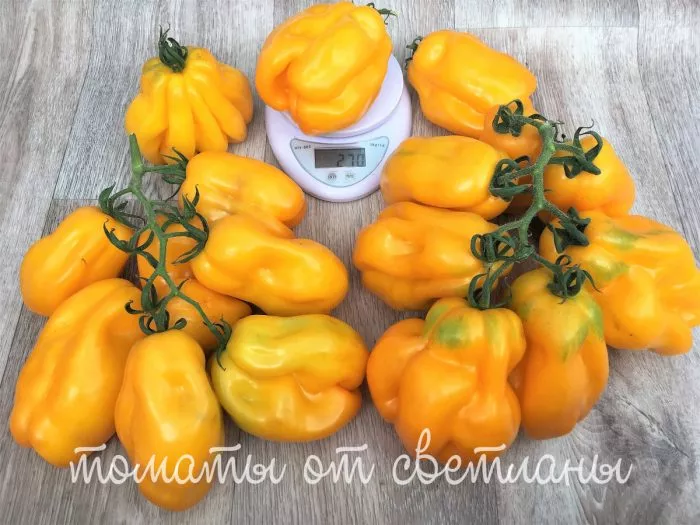 drapirovannyy-10-167893