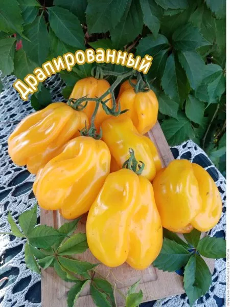 drapirovannyy-2-167893