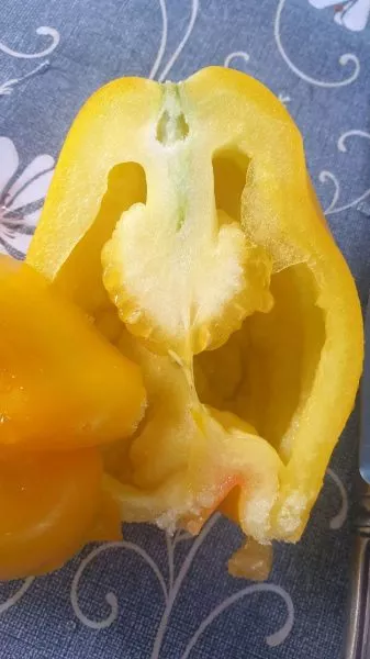 drapirovannyy-3-167893