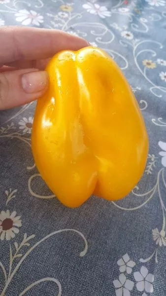 drapirovannyy-5-167893