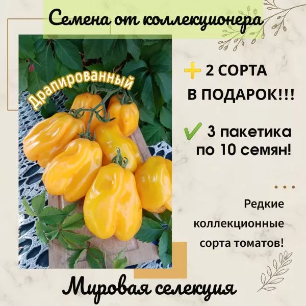 drapirovannyy-6-167893