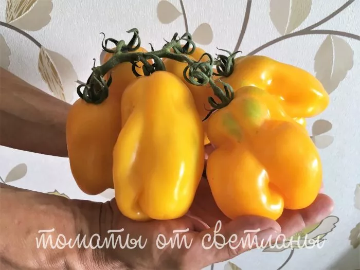 drapirovannyy-7-167893