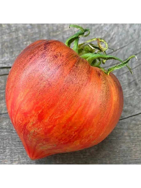 droblenoe-serdtse-3-154211