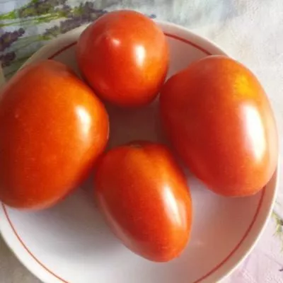 dusya-krasnaya-1-139218